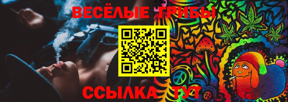 Галлюциногенные грибы MAGIC MUSHROOMS Гудермес